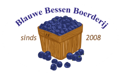 Blauwe bessen boerderij